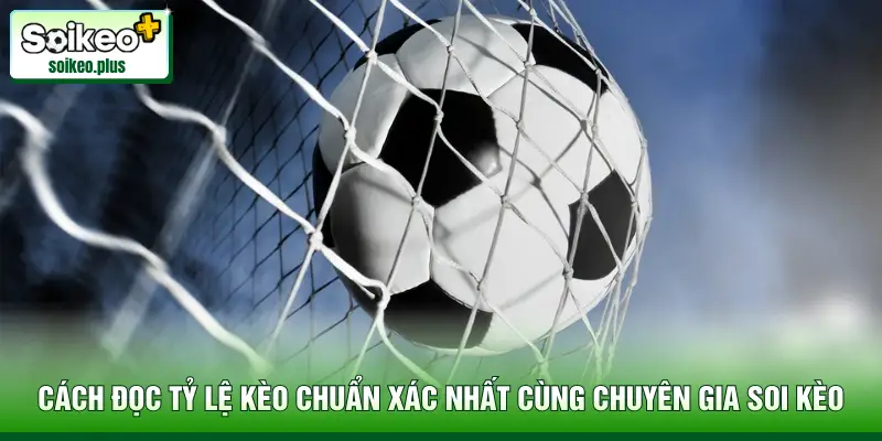 Cách Đọc Tỷ Lệ Kèo Chuẩn Xác Nhất Cùng Chuyên Gia Soi Kèo